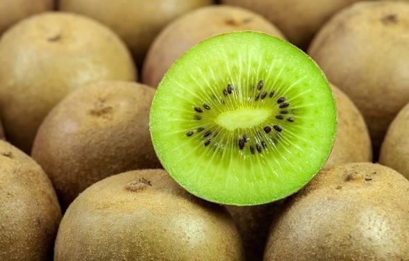 猕猴桃最新爆料视频大全,最新品种与种植技术大曝光