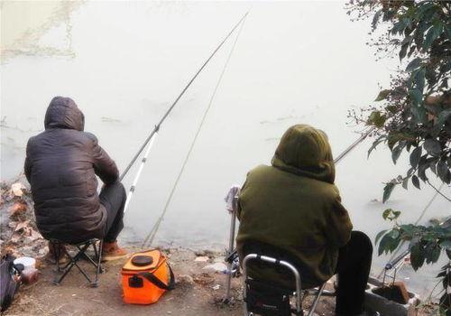 钓鱼爆料视频大全最新,最新爆料视频大全，精彩瞬间一网打尽！  第1张